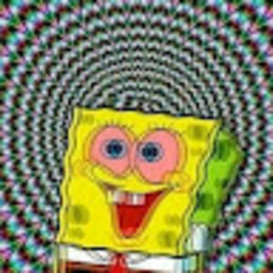 Meet your Posher, Devin